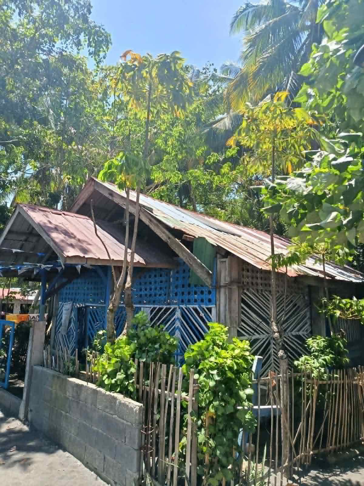 Community buildings surrounded by trees in Purok Lawis
